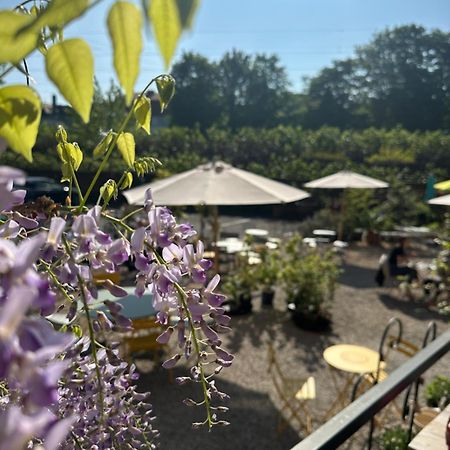Ferienwohnungen Im Hof68 Munster  Eksteriør bilde